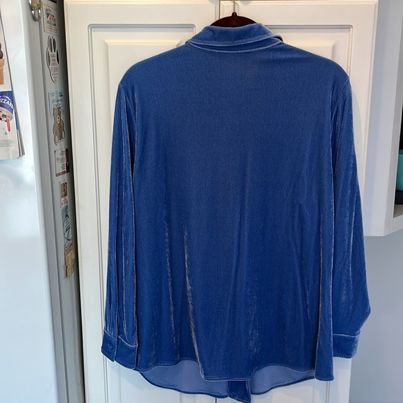 Soft Surroundings Blue Velvet Tunic PL - Picture 3 of 6